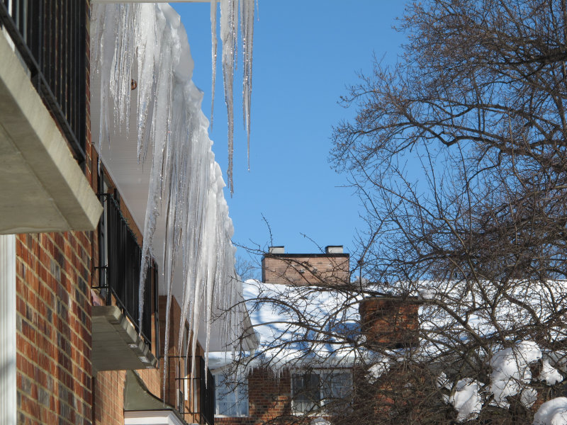 Very large icicles.