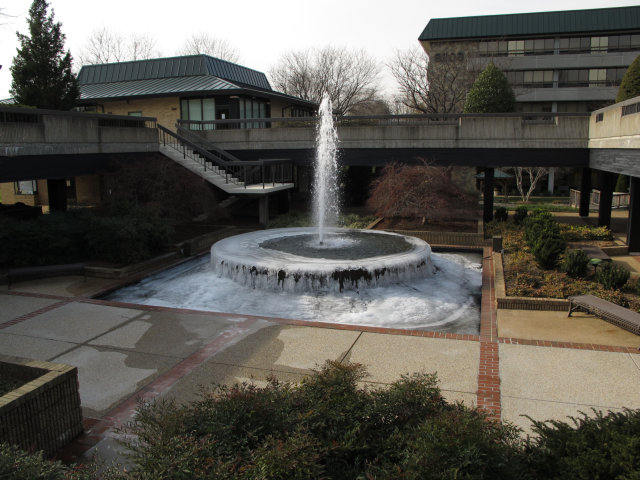 A fountain, frozen over.