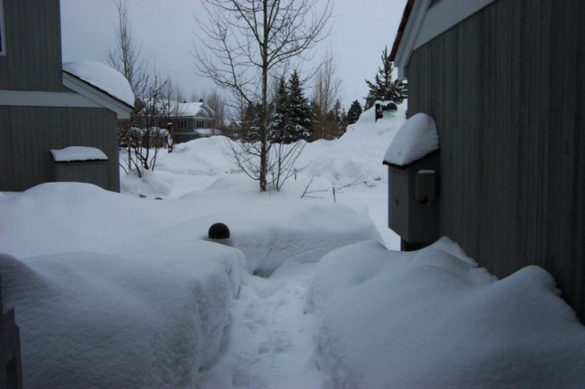 A lot of snow... walls of snow with a sidewalk path cleared.