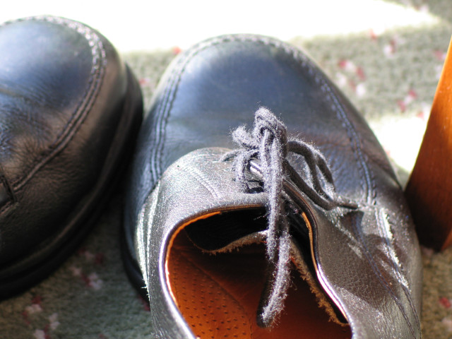 Old pair of shoes, basking in the sunlight.