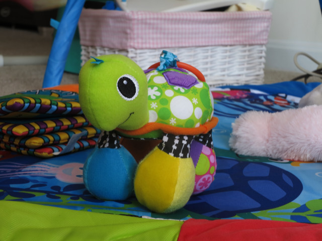 Infantino Topsy Turtle
