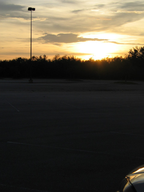 A sunset, parking lot, trees.