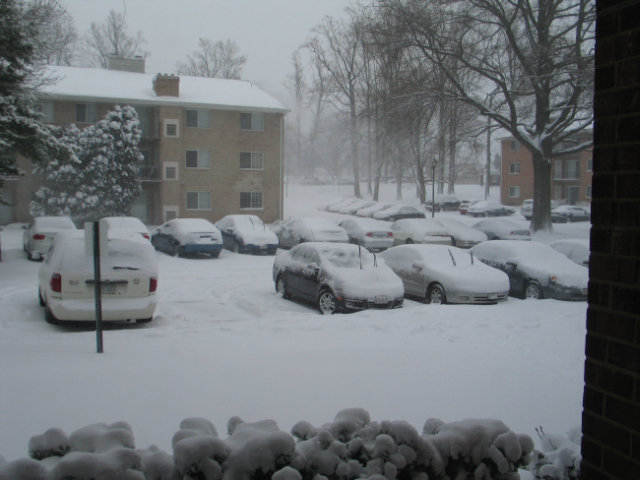 Lots of snow in my parking lot.