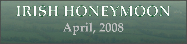 Banner for the page.